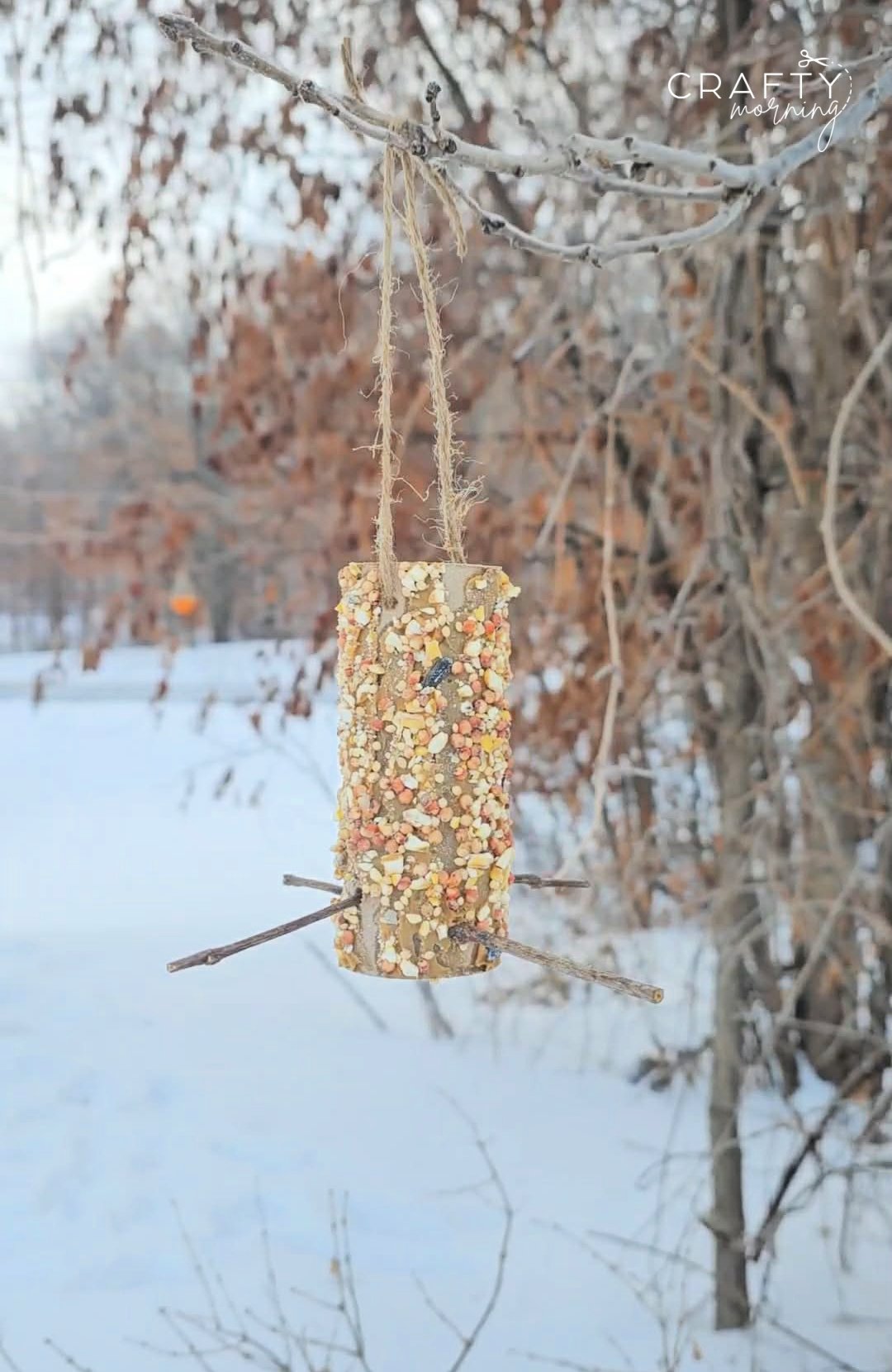 Toilet Paper Roll Bird Feeder